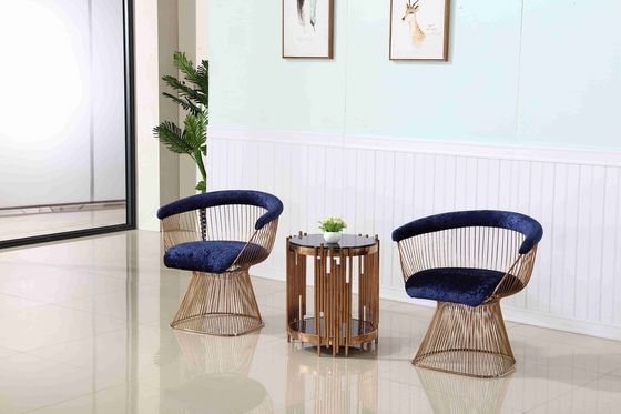 Freizeit-Garten-Hotel-Aufnahme sitzt metallhaltigem Akzent-Stuhl-Wohnzimmer-Edelstahl-Rahmen vor