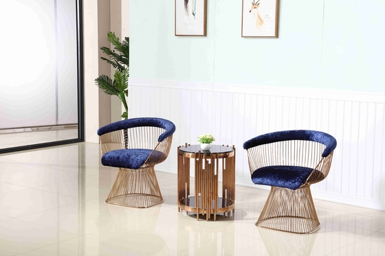 Freizeit-Garten-Hotel-Aufnahme sitzt metallhaltigem Akzent-Stuhl-Wohnzimmer-Edelstahl-Rahmen vor
